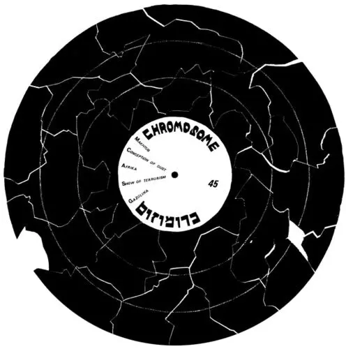 Chromosome: Chromosome - 12-Inch Single 1