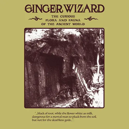 Ginger Wizard: The Curious Flora And Fauna Of The Ancient World - Vinyl Lp 1