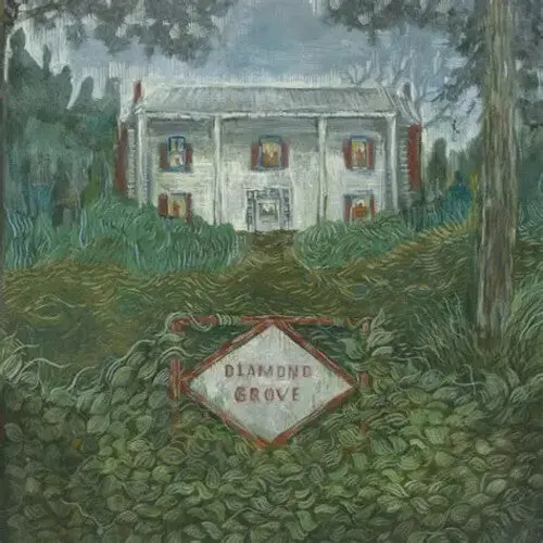 Weirs: Diamond Grove - Vinyl Lp 1