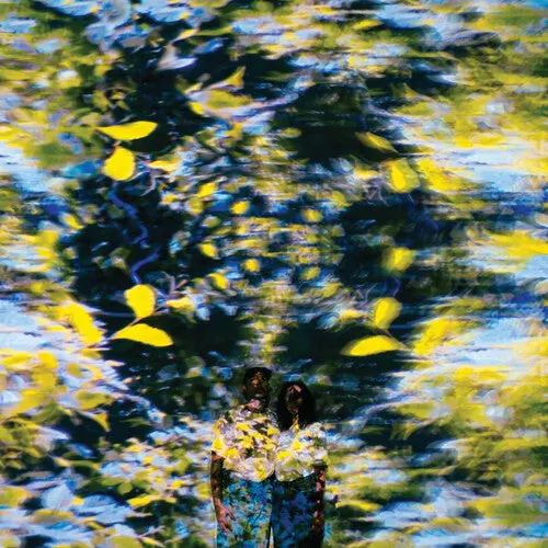 Chaton Laveur: Labyrinthe - Vinyl Lp 1