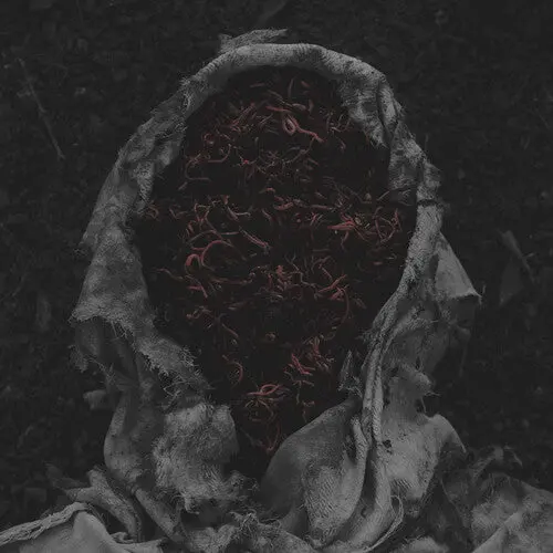 Gorrch: Stillamentum - Vinyl Lp 1