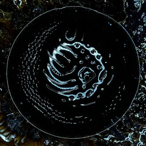 Stonus: Stonus - Compact Discs 1