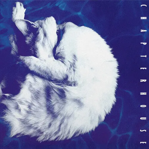 Chapterhouse: Whirlpool - Limited 180-Gram White & Black Marble Colored Vinyl - Vinyl Lp 1
