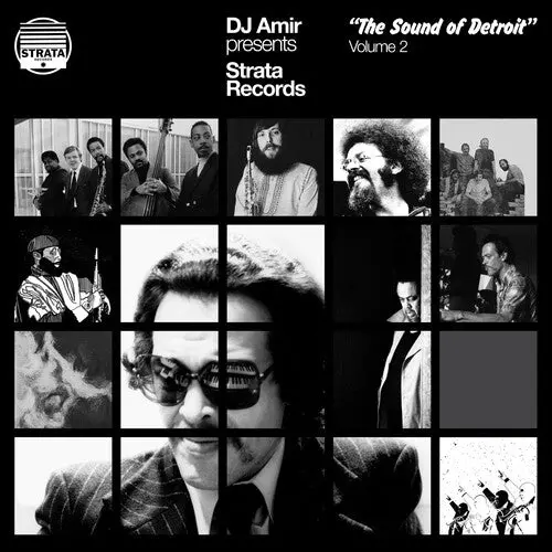 Dj Amir: Dj Amir Presents Strata Records: The Sound Of Detroit Vol. 2 - Vinyl Lp 1