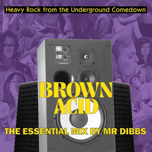 Various Artists: Brown Acid "The Essential Mix" By Mr. Dibbs (Various Artists) - Compact Discs 1