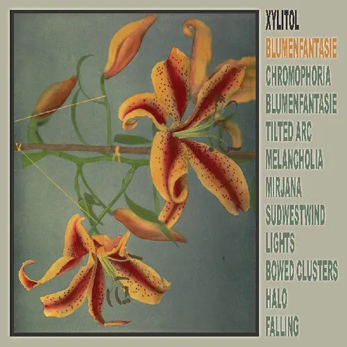 Xylitol: Blumenfantasie - Vinyl Lp 1