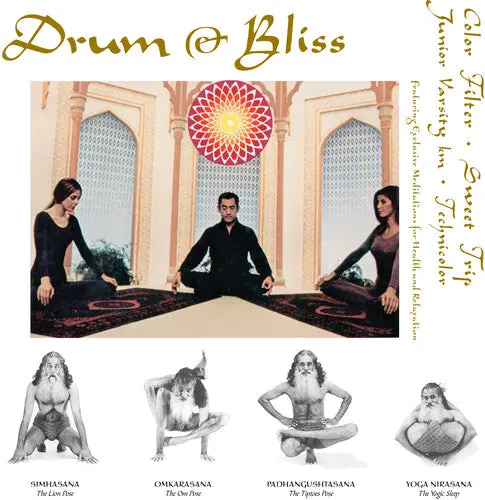Various Artists: Drum & Bliss (Various Artists) - 12-Inch Single 1