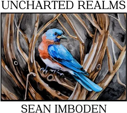 Sean Imboden: Uncharted Realms - Compact Discs 1