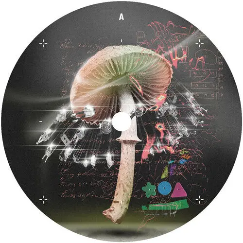 Lusu: Move 2 The Groove - 12-Inch Single 1