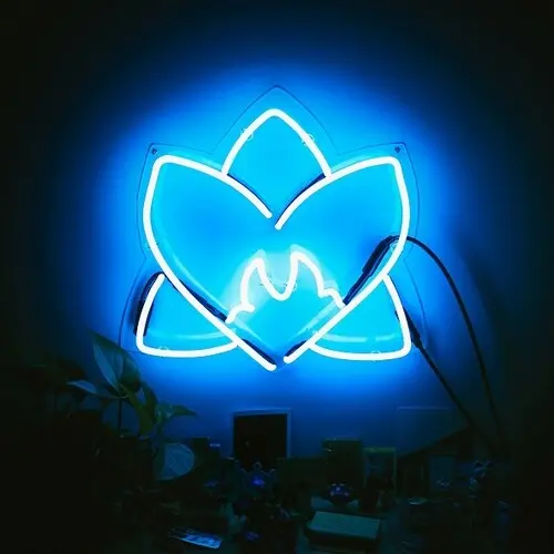 Various Artists: Radiating Light (Various Artist) - Vinyl Lp 1