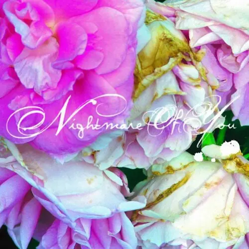 Nightmare Of You: Nightmare Of You - Vinyl Lp 1