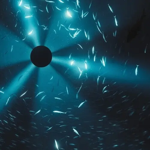 Laurel Halo: Midnight Zone (Film By Julian Charriere) (Original Soundtrack) - Gatefold Black Vinyl With Book - Vinyl Lp 1