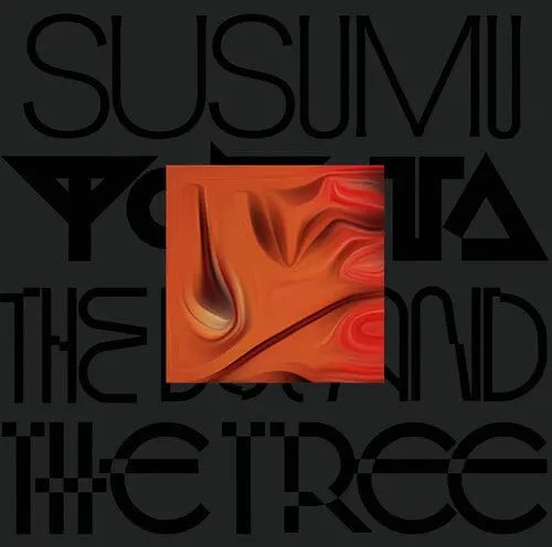 Susumu Yokota: The Boy And The Tree - Skintone - Vinyl Lp 1