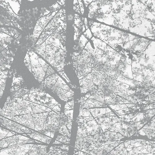 Black Rain: Obliteration Bliss - Compact Discs 1