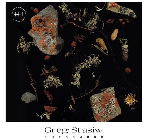 Greg Stasiw: Guesswork - Vinyl Lp 1