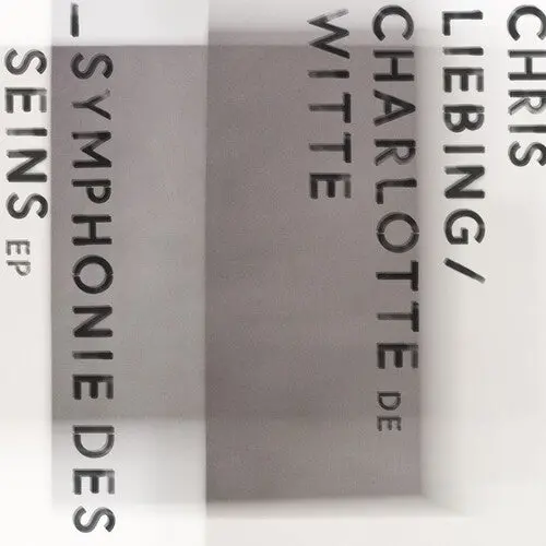 Liebing, Chris / De Witte, Charlotte: Symphonie Des Seins - 12-Inch Single 1