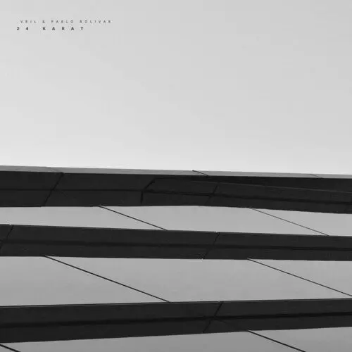 Vril / Bolivar, Pablo: 24 Karat - 12-Inch Single 1