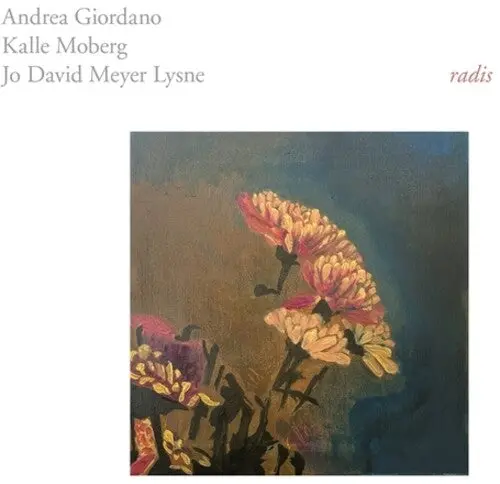 Giordano, Andrea / Moberg, Kalle: Radis - Vinyl Lp 1