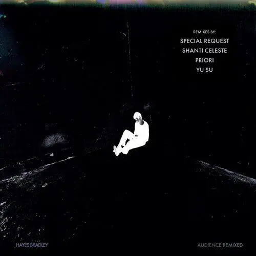 Hayes Bradley: Audience (Remixed) - 12-Inch Single 1