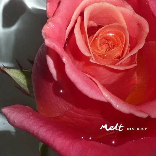 Ms Ray: Melt - Vinyl Lp 1