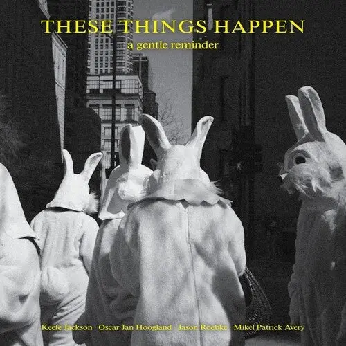 These Things Happen: A Gentle Reminder - Vinyl Lp 1