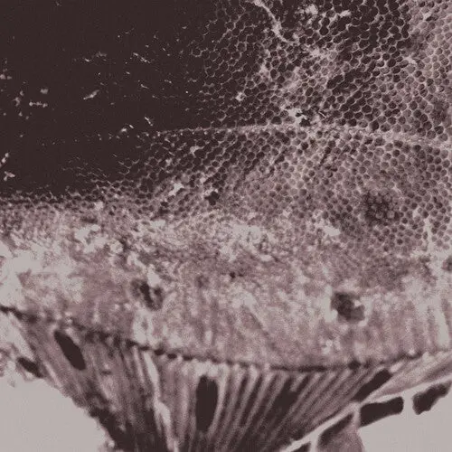 Mark Ijzerman: Flounder Maps - Vinyl Lp 1