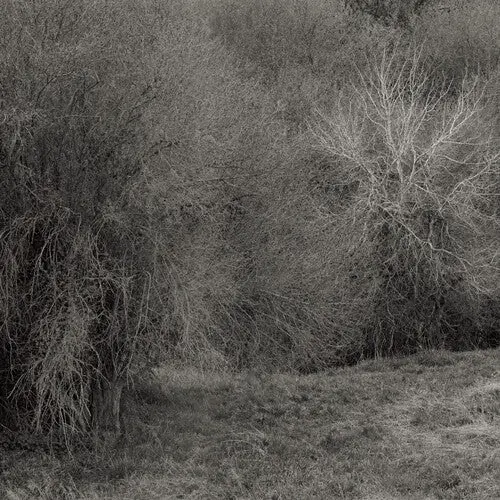 K. Leimer: Atrophies For Piano - White - Vinyl Lp 1