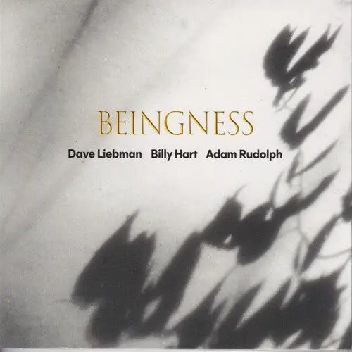 Dave Leibman: Beingness - Vinyl Lp 1