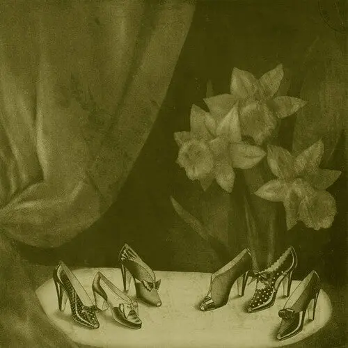 Alice Cohen: Into The Grey Salons - Vinyl Lp 1