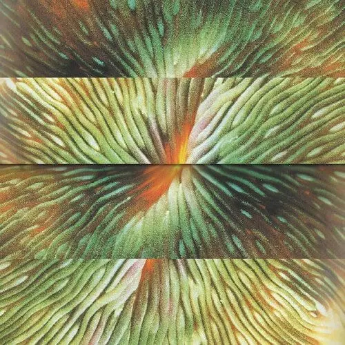 Active Surplus: Mirroring - Vinyl Lp 1