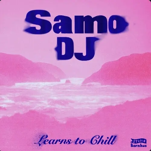 Samo Dj: Learns To Chill - 12-Inch Single 1