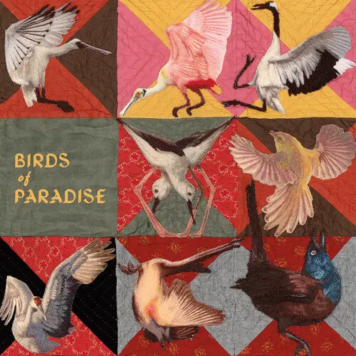 Thomas Dollbaum: Birds Of Paradise - Pink - Vinyl Lp 1