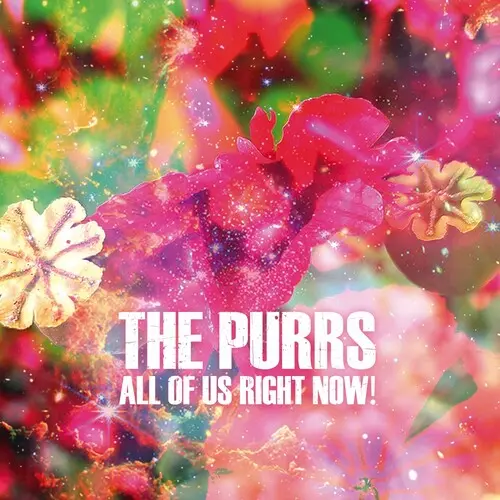The Purrs: All Of Us Right Now! - Vinyl Lp 1