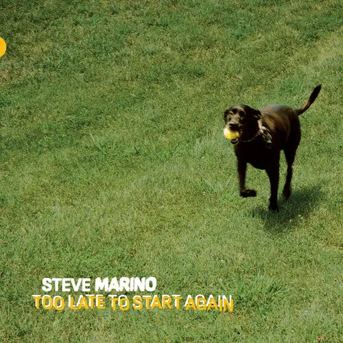 Steve Marino: Too Late To Start Again - Vinyl Lp 1