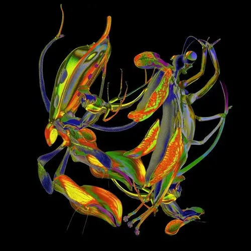 Dj Nobu: Sho - 12-Inch Single 1