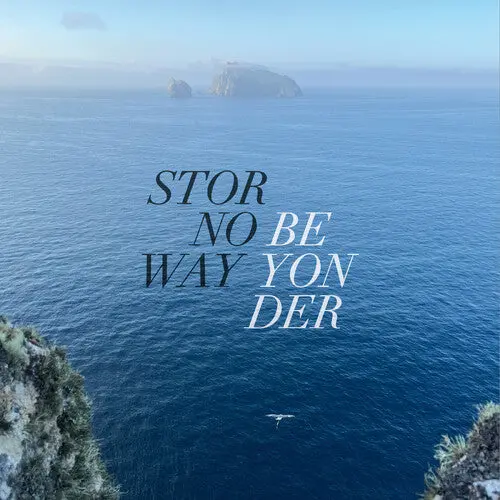 Stornoway: Beyonder - Random Solid Colour Eco Vinyl - Vinyl Lp 1