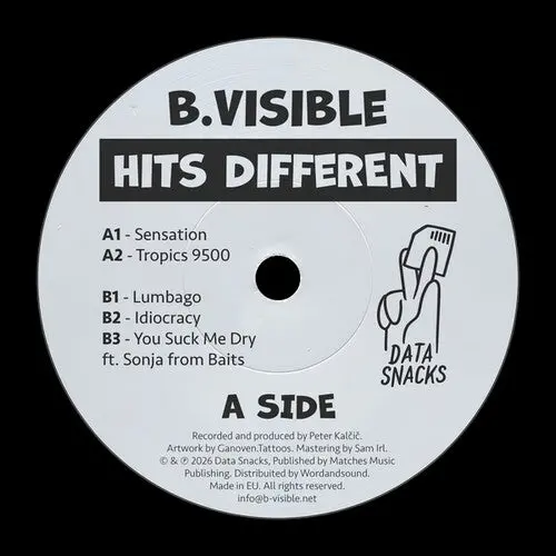 B Visible: Hits Different - 12-Inch Single 1