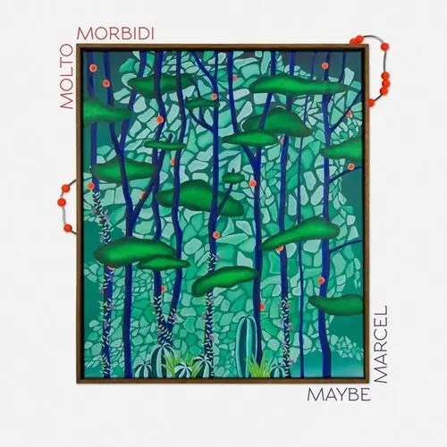 Molto Morbidi: Maybe Marcel - Vinyl Lp 1