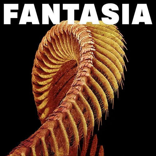 Slift: Fantasia - Yellow - Vinyl Lp 1