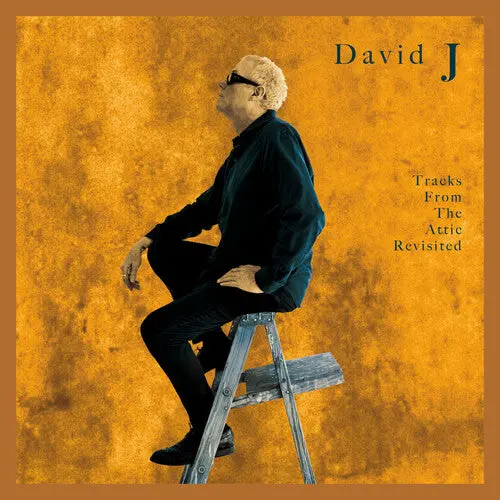 David J: Tracks From The Attic Revisited - Vinyl Lp 1
