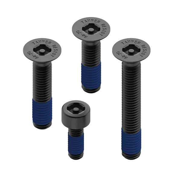 Accessory - Anti-Theft Screw Kit 1